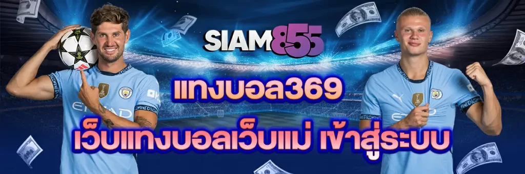 แทงบอล369